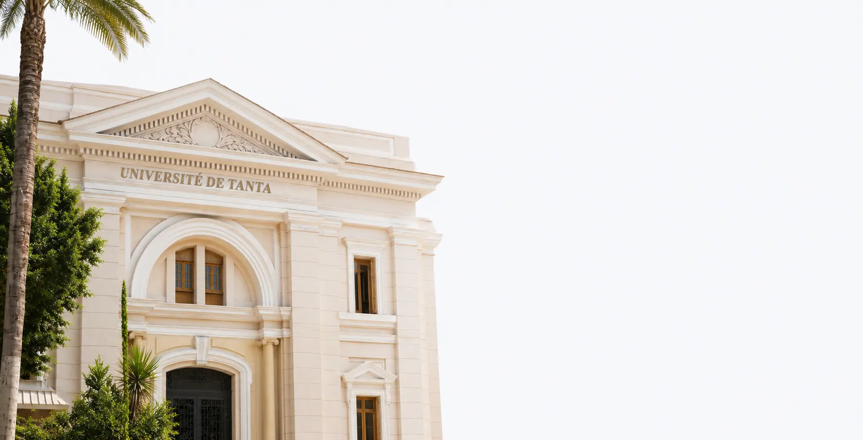 banner--1