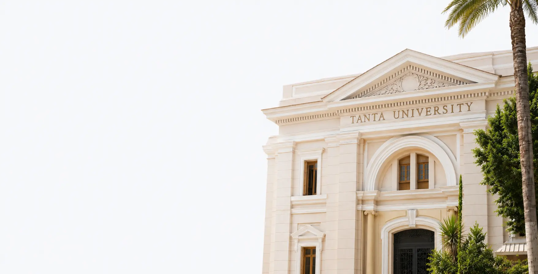banner--1